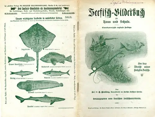 Ernährung See Fische Bilderbuch Preise Merkmale Kochbuch Zubereitung  1920