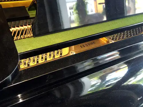 Stutzflügel 140 cm von C. Bechstein, BJ 1940 (#143906)

Vom Klavierbaumeister überprüft und gereinigt, gepflegter Zustand mit minimalen Blessuren, lt. Klavierstimmer sind zwei bis drei weitere Stimmungen notwendig, um ihn auf Kammerton zu bringen.