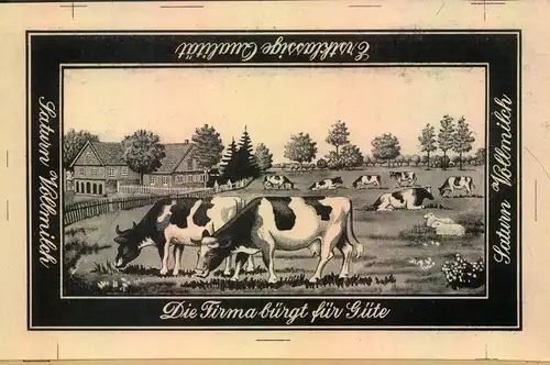 1929, attraktiver Werbebrief mit seltenem Absenderfreistempel ab ELBING - Reklame, advertisment