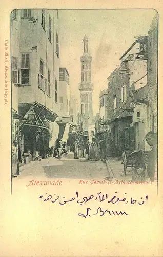 1902, picture card from ALEXANDRIA to Paris.