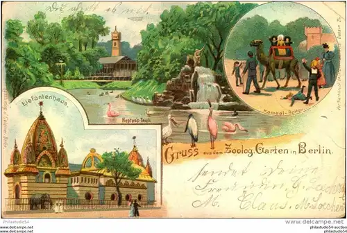 1899, Zoologischer Garten in Berlin, Kunstverl. J. Goldiner, Dessin 26, Stempel: FRIEDRICHSFELDE BEI BERLIN; kl. Eckbug
