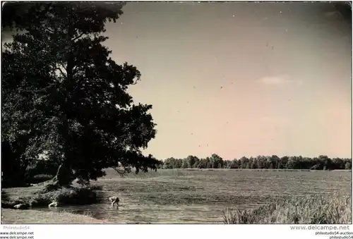 Brandenburg : 1957, Postkarte Posthilfsstelle "Kolberg über Königs Wusterhausen"