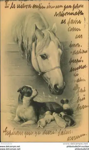 Pferd schaut auf Hundedame mit Welpen, Stempel:  Bahnpost Berlin-Hildesheim ZUG 32, 1903