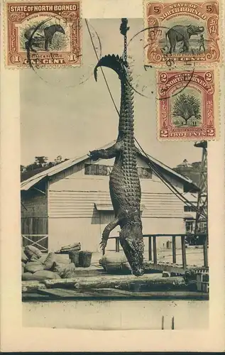 1933, frankierte Bildkarte Krokodil, bitte ansehen