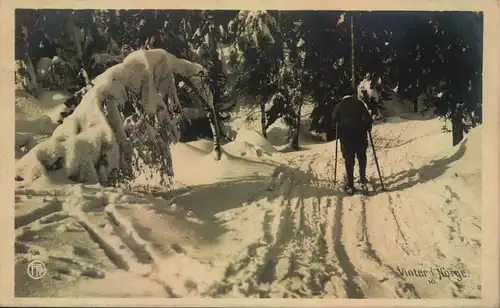 1915, BUERAU REEXP: DE KRISTIANIA Retour Postkarte urprünglich nach Freiburg/Breisg.