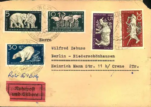 1956, Tierparksatz auf Rohrpost-Ortsbrief nach Niederschönhausen (Panlow)