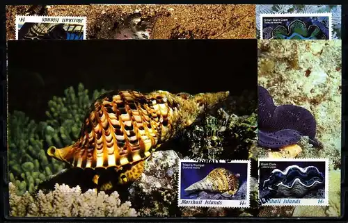 X2541)Marshallinseln Maxi-Karte 73/6 WWF 35 Meerestiere