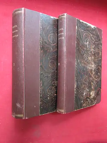 Fischer, Dr. Ferdinand: Handbuch der chemischen Technologie - 2 Bände. 1. Band: Unorganischer Teil / 2. Band: Organischer Teil. 