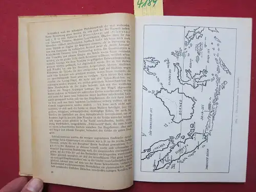 Koernicke, Max: Insulinde - Das holländische Kolonialreich. 