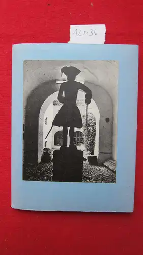 Schoubye, S: Vejledning for besogende i Tonder Museum [Booklet mit Postkarten. ]. 