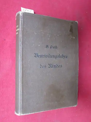 Pusch, G[ustav]: Beurteilungslehre des Rindes. 