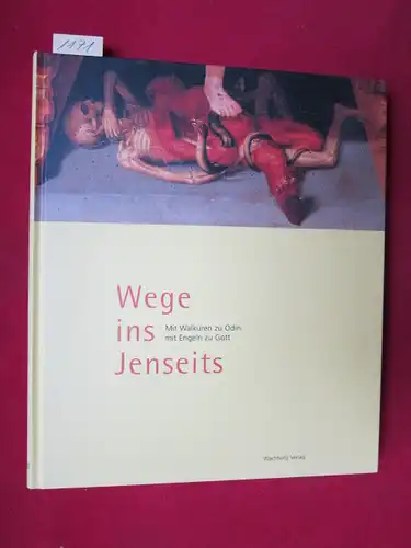 Wege ins Jenseits - Mit Walküren zu Odin mit Engeln zu Gott. EUR