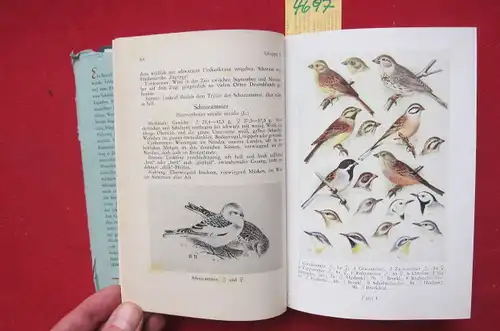 Taschenbuch der deutschen Vogelwelt : Herausgegeben von der Senckenbergischen Naturforschenden Gesellschaft zu Frankfurt a. M.; Senckenberg-Buch 23. EUR