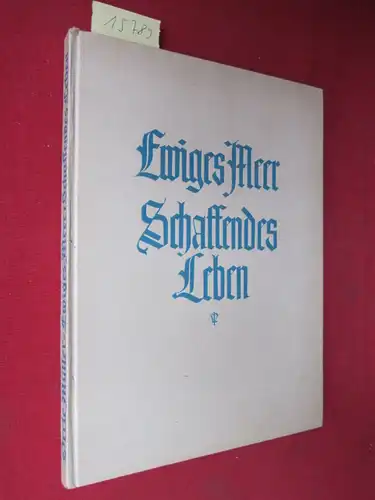 Müller, Orrie: Ewiges Meer, schaffendes Leben. Mit künstler. Aufn. v. Hans Engelmeyer ; W. Bauer. 