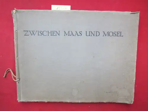 Armee-Abteilung von Strantz und Hermann von Strantz: Zwischen Maas und Mosel. 