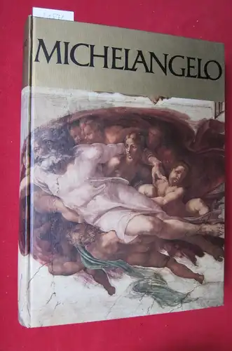 De Tolnay, Charles, Umberto Baldini Roberto Salvini u. a: Michelangelo : Bildhauer, Maler, Architekt, Dichter. Vorw. von Mario Salmi. 