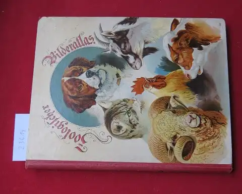 Votteler, Chr[istian] und H[ans] Wildersinn: Zoologischer Atlas. [Deckeltitel: Zoologischer Bilderatlas]. 