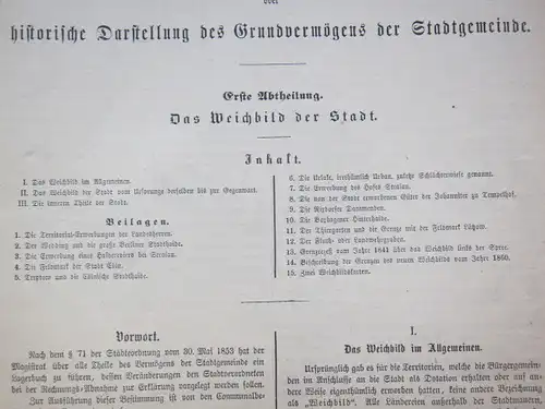 Anonym: Das Grundbuch der Stadtgemeinde Berlin oder historische Darstellung des Grundvermögens der Stadtgemeinde. 
