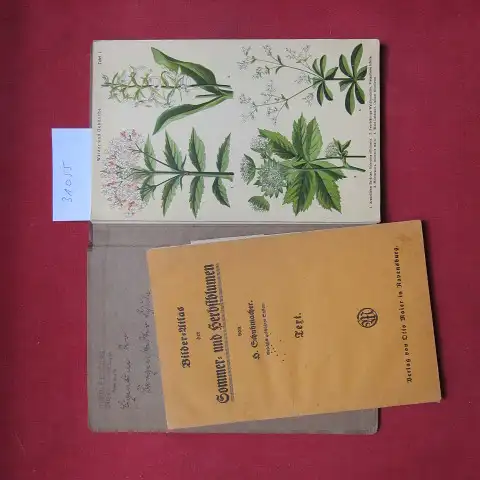 Schuhmacher, H: Bilder-Atlas der Sommer- und Herbstblumen. [Text + Leporello] Zum raschen Bestimmen nach Farben und Standorten geordnet. 
