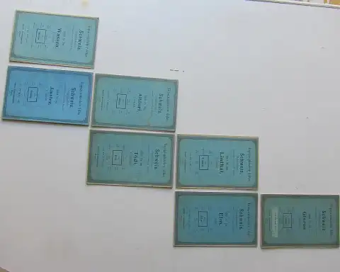 Eidg. Stabsbureau: Topograühischer Atlas der Schweiz (Siegfriedatlas): Blatt 263,394, 400, 401, 403, 404, 407 [7 Blatt] Glarus / Wassen / Linthal / Elm / Altdorf / Tödi / Amsteg. 