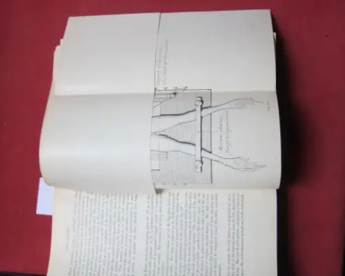 Ekehorn, Gösta: On the principles of renal function. Acta medica Scandinavica / Supplementum ; 36. 