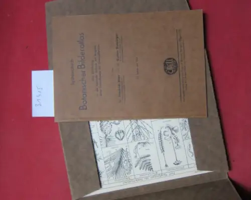 Boas, Friedrich und Gustav Dunzinger: Systematisch-Botanischer Bildatlas. Eine Einführung in die spezielle Botanik mit Beigabe eines Stammbaums der Samenpflanzen. 