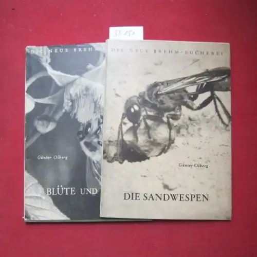 Olberg, Günter: Die Sandwespen (Ammophila und Podalonia). Die neue Brehm-Bücherei ; H. 68 [Beigabe: Blüte und Insekt, Heft 43, 1951]. 