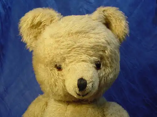 A772/ Teddy Teddybär