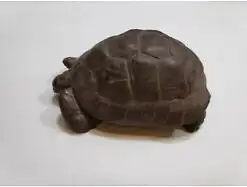 E122/ Meissen Schildkröte  Erich Oehme, Böttgersteinzeug