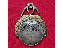 E253/ Jugendstil Medaille silber Sport