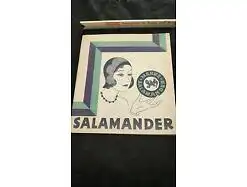 E504/Salamander Katalog Herbst Winter 1929/30