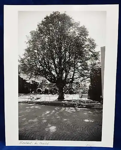 Altes Foto Düsseldorf Am Ehrenhof Original Leica Print Dr. Grygiel 30 X 24 cm