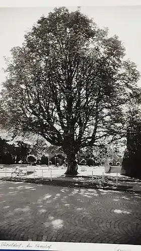 Altes Foto Düsseldorf Am Ehrenhof Original Leica Print Dr. Grygiel 30 X 24 cm