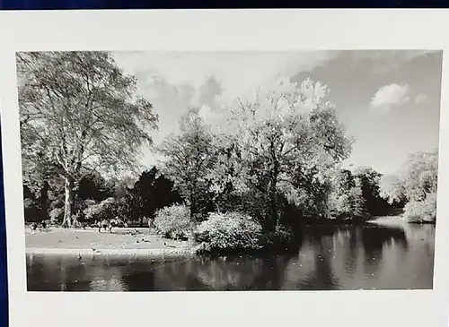 Original Altes Foto Park  Original Leica Print Dr. Grygiel 30 X 24 cm