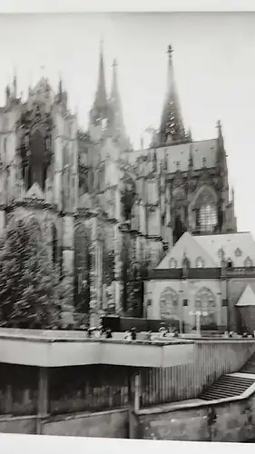 Original Altes Foto Köln  Original Leica Print Dr. Grygiel 30 X 24 cm