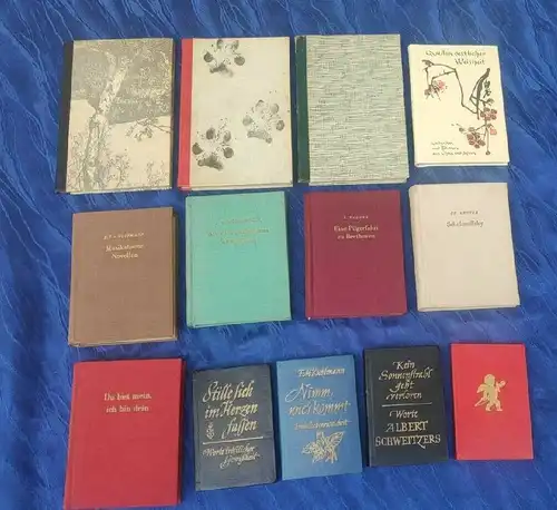 G193/ 13 x Miniaturbuch / Miniaturbücher /  Minibuch / Minibücher Sammlung 