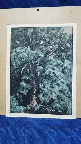 G95/ FRANZ HEIN Waldidyll 31 x 41 cm mit Monogramm 