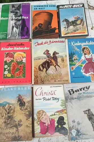 F516/ 9 alte Kinderbücher 