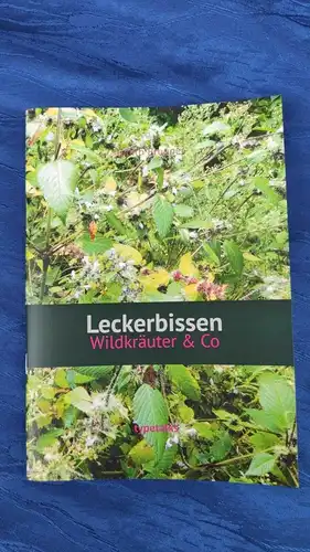 F463/ Buch Ratgeber Leckerbissen Wildkräuter NEU