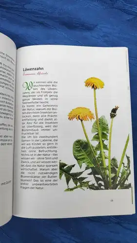 F463/ Buch Ratgeber Leckerbissen Wildkräuter NEU