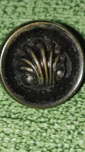 F242/ 14 antike Knöpfe aus Metall mit Muschelmotiv 1,2 cm