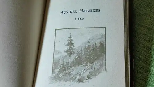 F163/ Buch der Lieder von Heinrich Heine Verlag Herrmann Seemann Nachf.