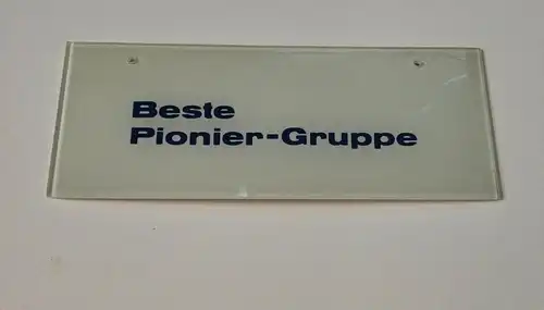 F135/ Hinterglasschild Beste  Pionier - Gruppe DDR 25 x 10 cm
