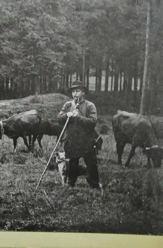 E801/ Altes Foto auf Karton Harz Hahnenklee 1898