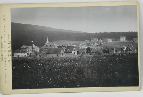 E801/ Altes Foto auf Karton Harz Hahnenklee 1898