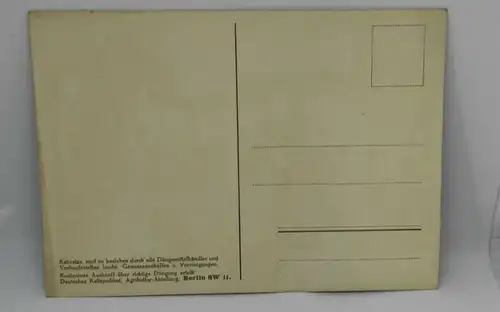 E801/ Werbepostkarte Kali Syndikat Postkarte 30er Jahre