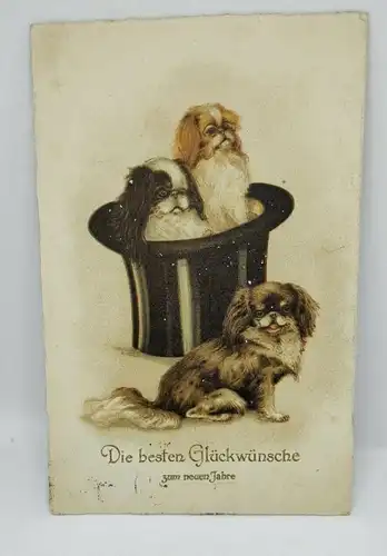 E801/ antike Neujahrskarte Neujahrsgruß Pekinese