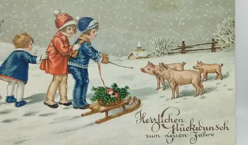 E801/ antike Neujahrskarte Neujahrsgruß Glücksschwein