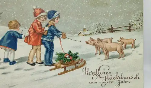 E801/ antike Neujahrskarte Neujahrsgruß Glücksschwein 