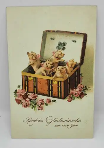 E801/ antike Neujahrskarte Neujahrsgruß Glücksschwein 